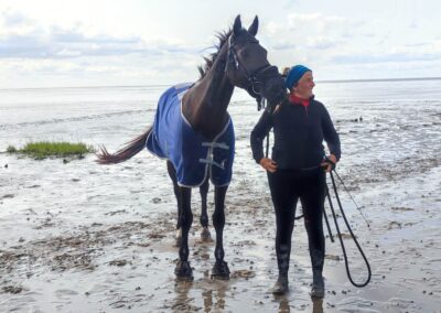 Reiterin steht lächelnd neben ihrem dunklen Pferd mit blauer Decke im Wattenmeer, weitere Reiter im Hintergrund