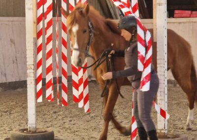 Reiterin führt ein Kastanienpferd durch einen Vorhang aus rot-weißen Bändern in der Reithalle – Gewöhnungsübung