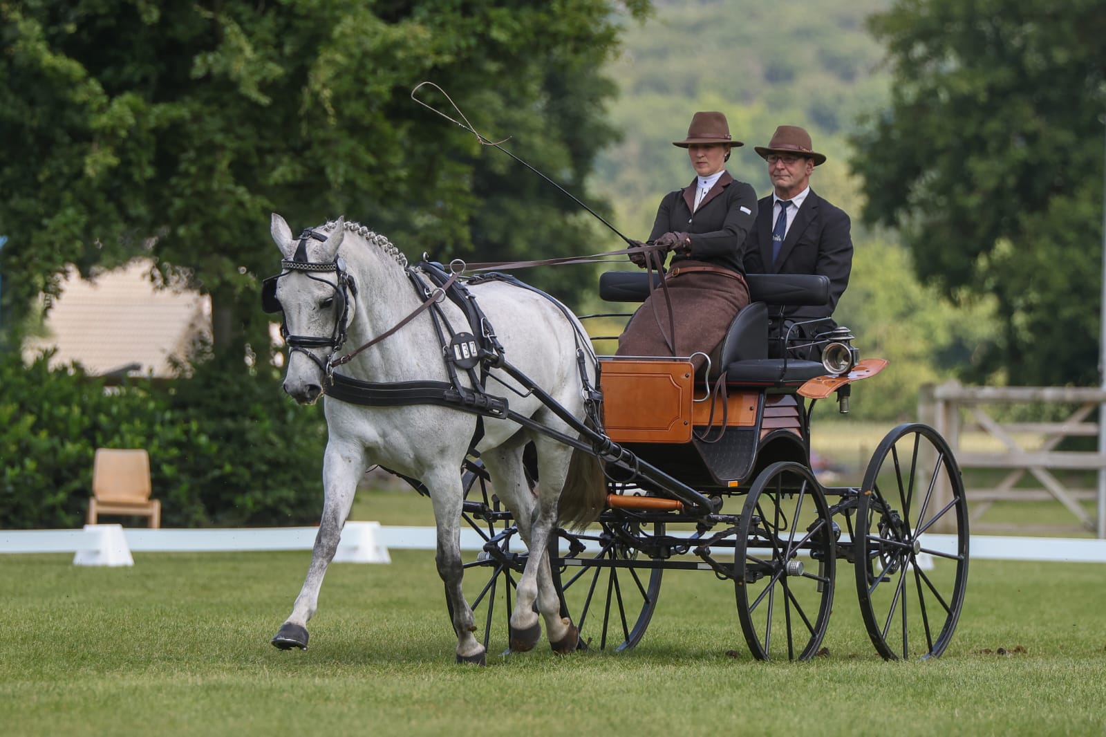 Einspänner mit grauem Pferd und zwei Fahrern im eleganten Outfit beim Fahrsport-Dressurviereck auf einem grünen Rasenplatz