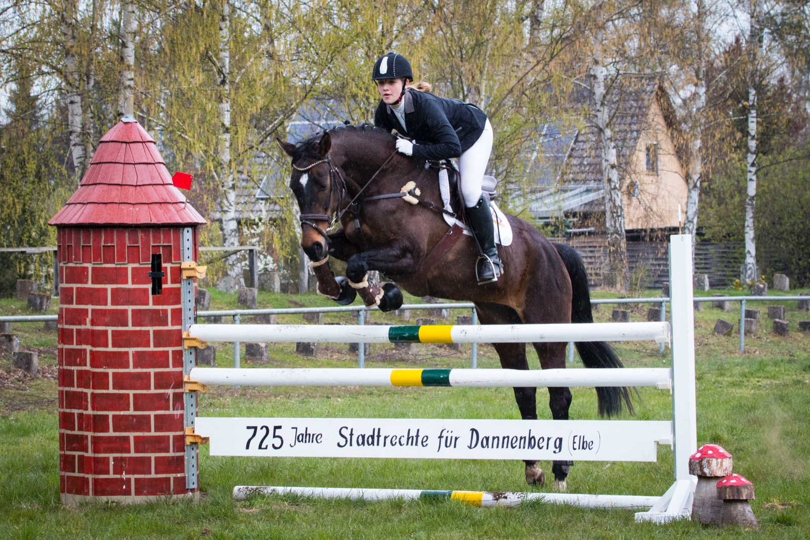 Eine Frau reitet auf ein Pferd und springt über einem Steilsprung