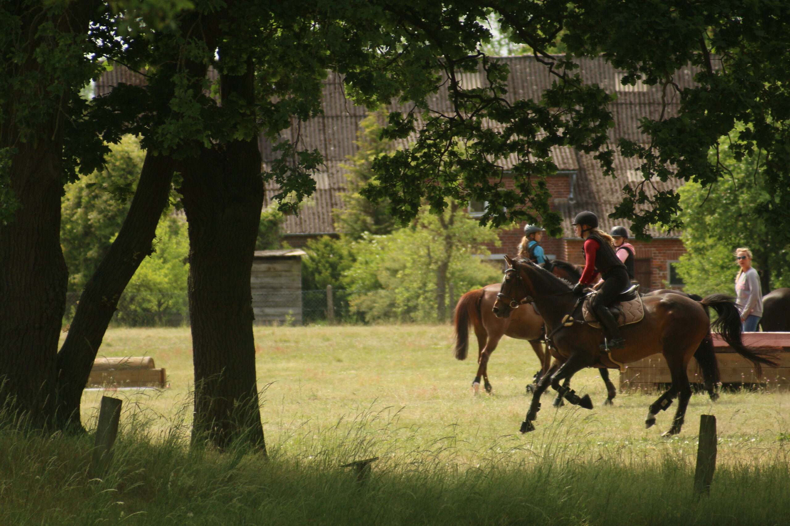 Gruppe von Reiterinnen und Reitern beim Geländelehrgang im Wendland