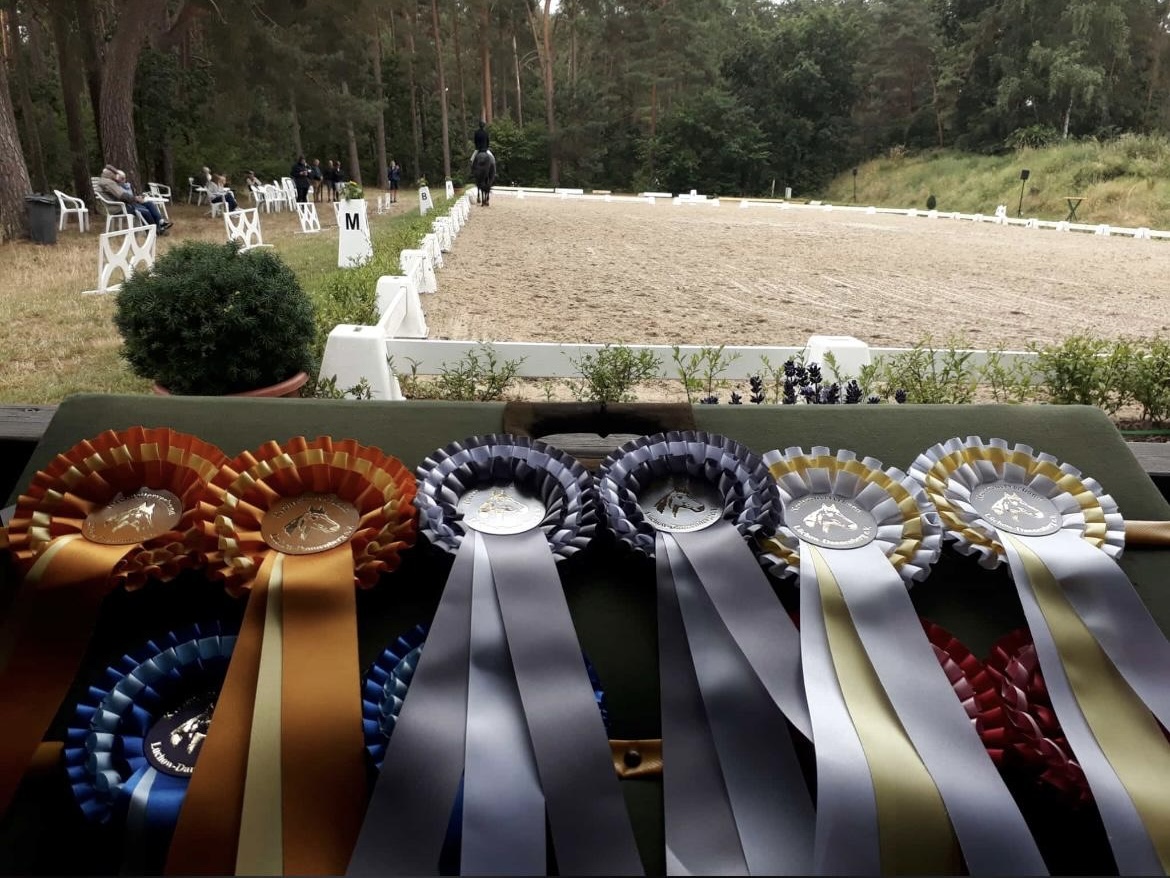 Mehrere Turnierrosetten in Bronze, Silber und Gold liegen auf einer Ablage vor einem Dressurplatz im Wald beim Kreisturnier 2026