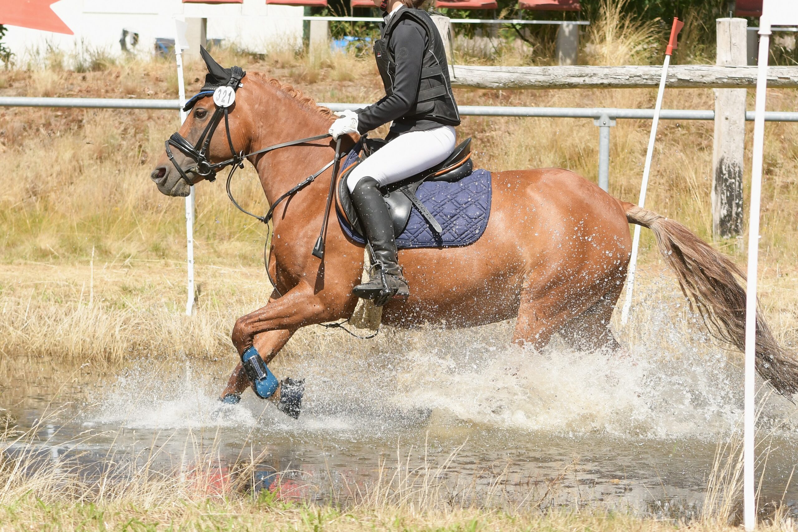 Reiterin auf braunem Pferd beim Durchreiten einer Wasserpassage beim GeländereiterCUP