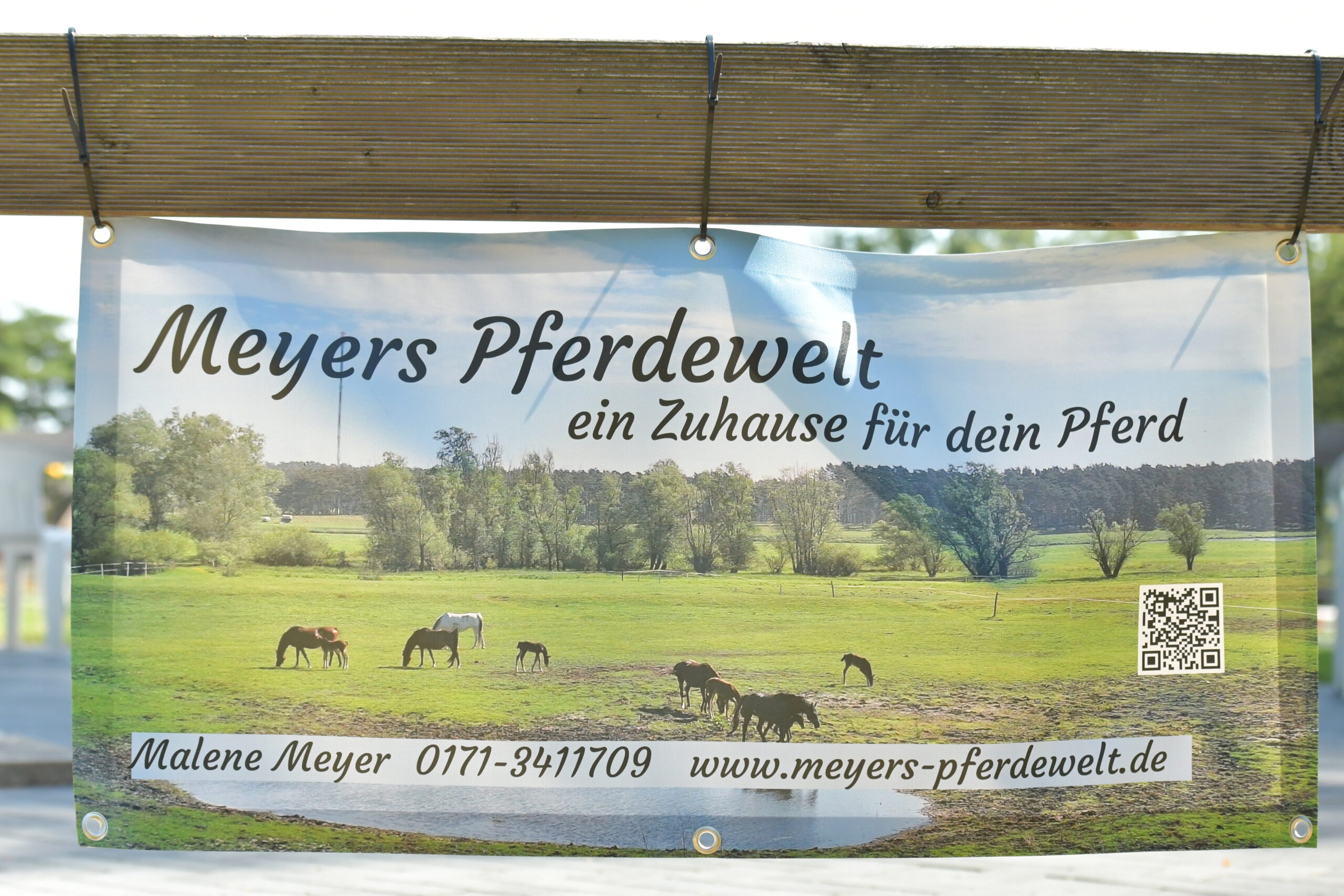 Meyers Pferdewelt Logo